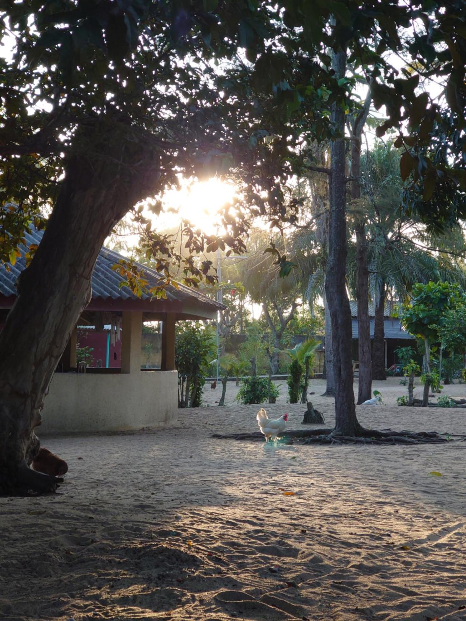 Rundbungalow Auf Lionsrest กรองด์-บาสซาม ภายนอก รูปภาพ